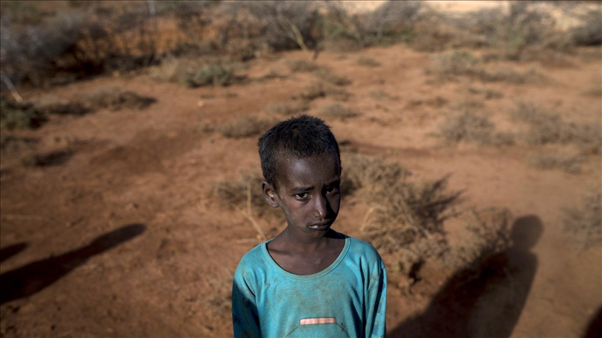 370,000 children will die in Somalia absent of major humanitarian effort: UN